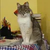 Отзыв от Варвара Колесникова